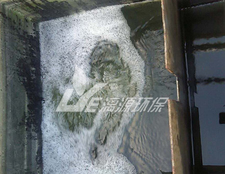 涂料化工廢水處理的生物法有哪些？