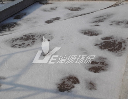 你的氣浮效果為什么不好？有著幾種影響因素！