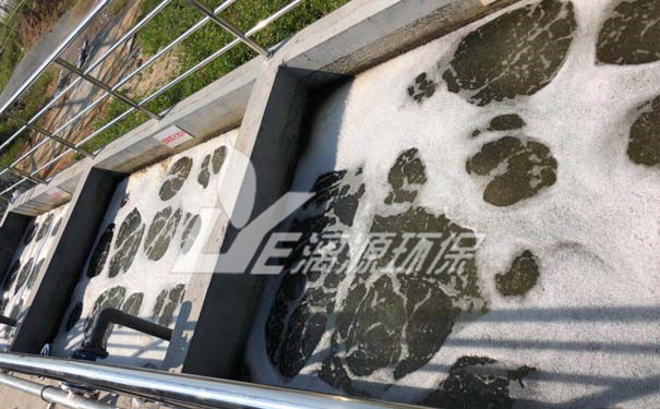 食品廠(chǎng)魚(yú)類(lèi)罐頭加工廢水處理